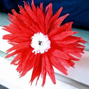 Meet your Posher, Melanie